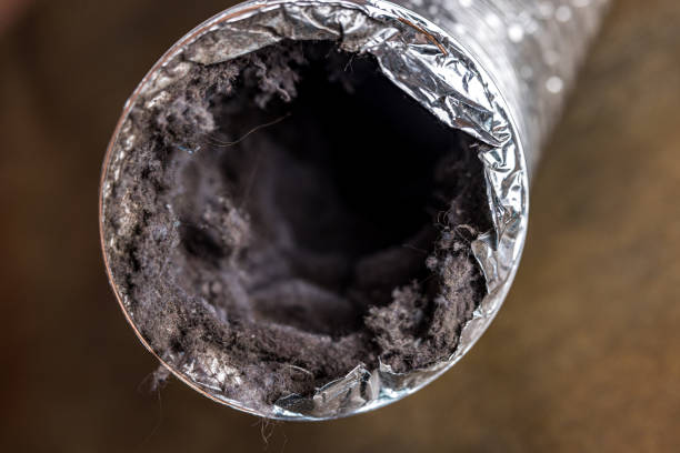 Best General Air Duct Cleaning  in Cienegas Terrace, TX