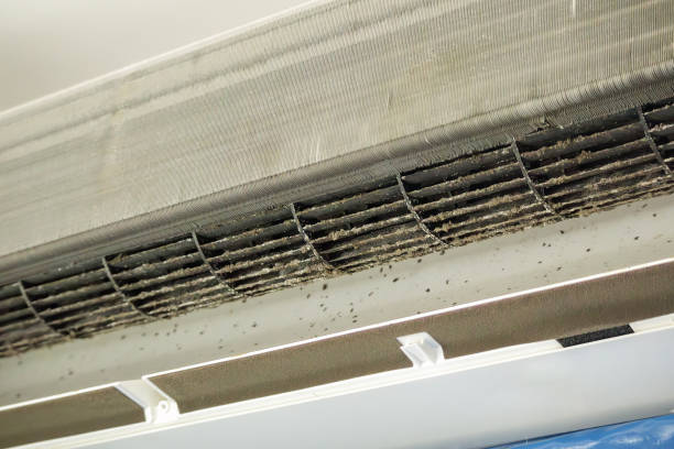 Best Air Quality Test  in Cienegas Terrace, TX