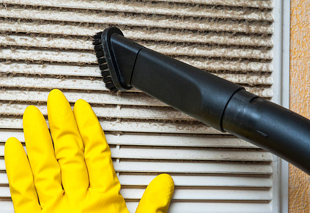 Best Duct Cleaning for Offices  in Cienegas Terrace, TX